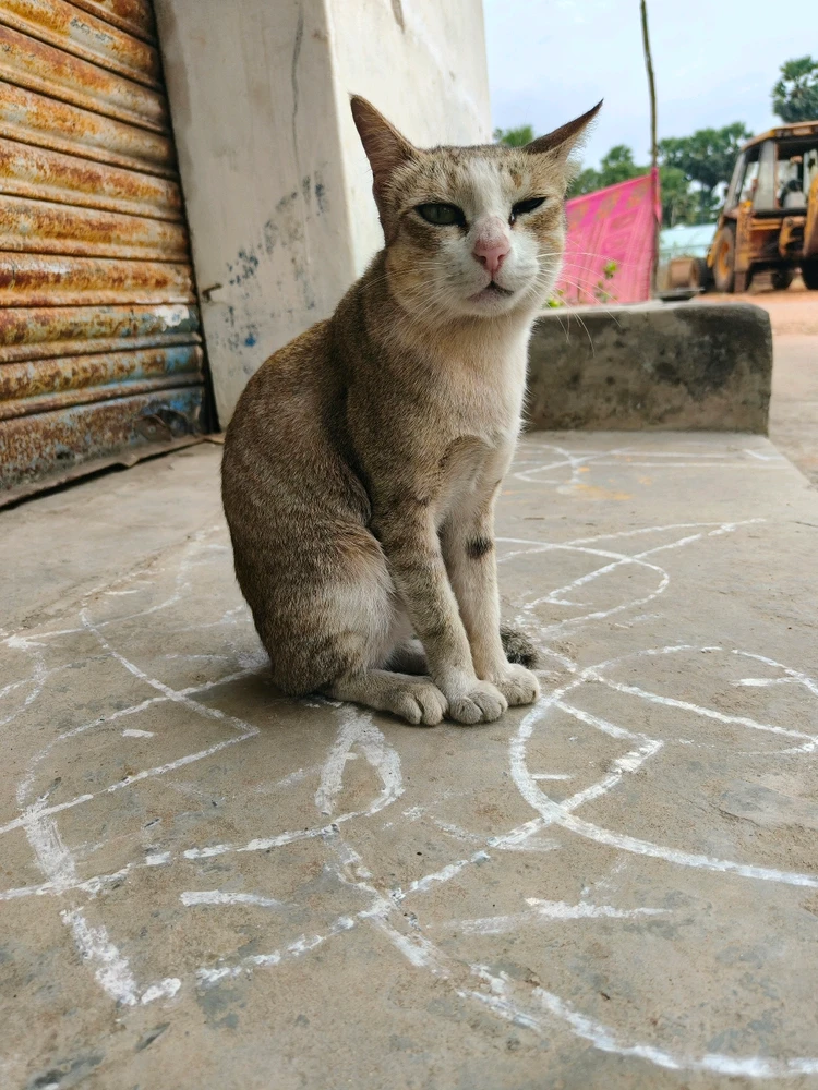 Image uploaded by Dhanunjaya