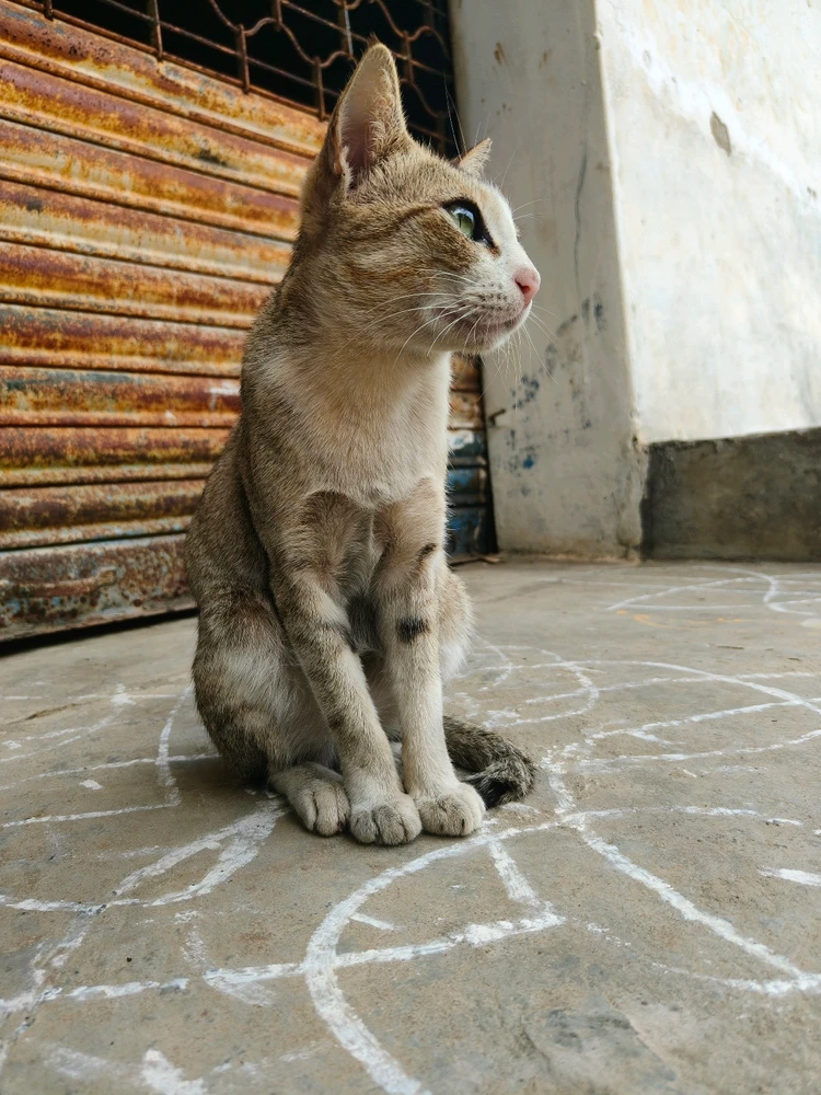 Image uploaded by Dhanunjaya