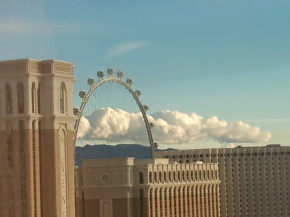 Image uploaded by Anna