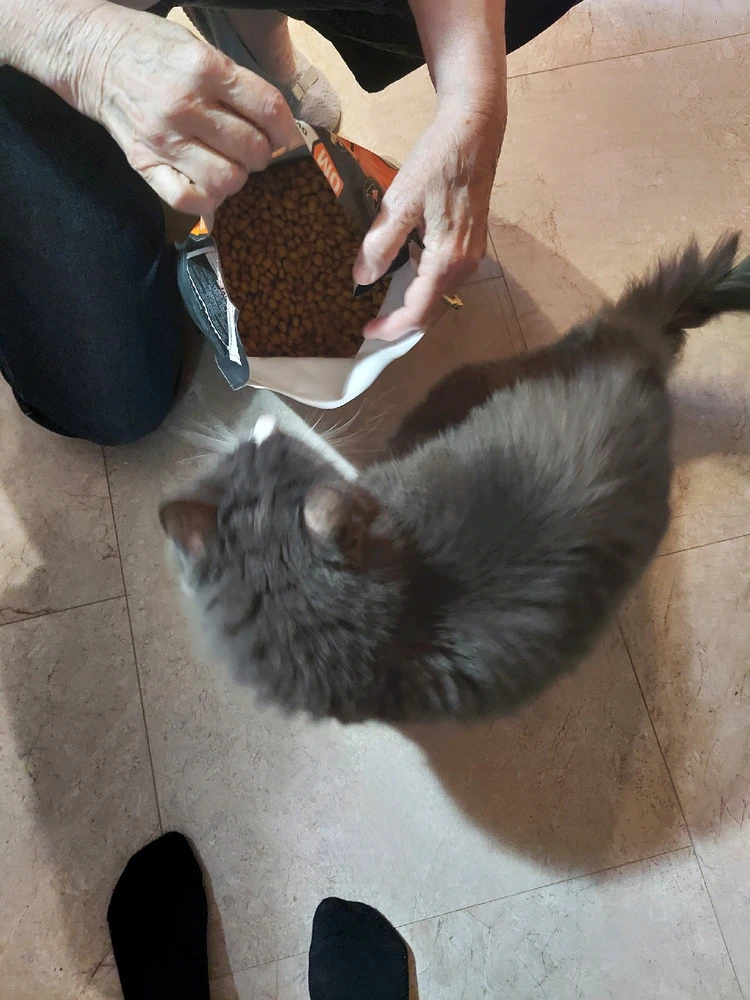 Image uploaded by Amber