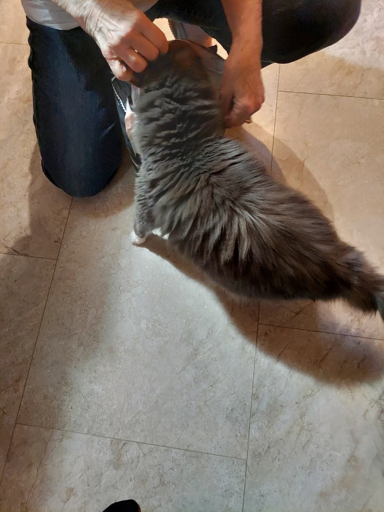 Image uploaded by Amber