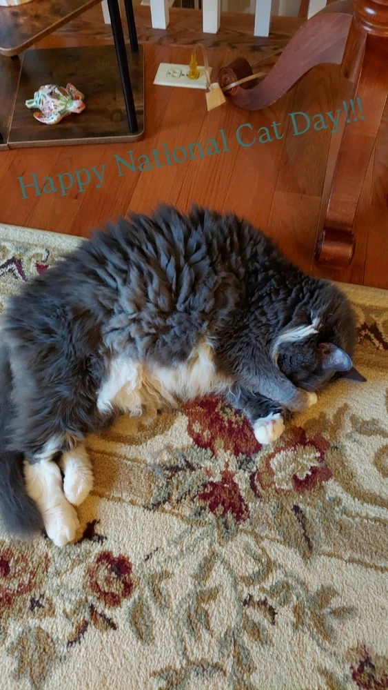 Image uploaded by Amber