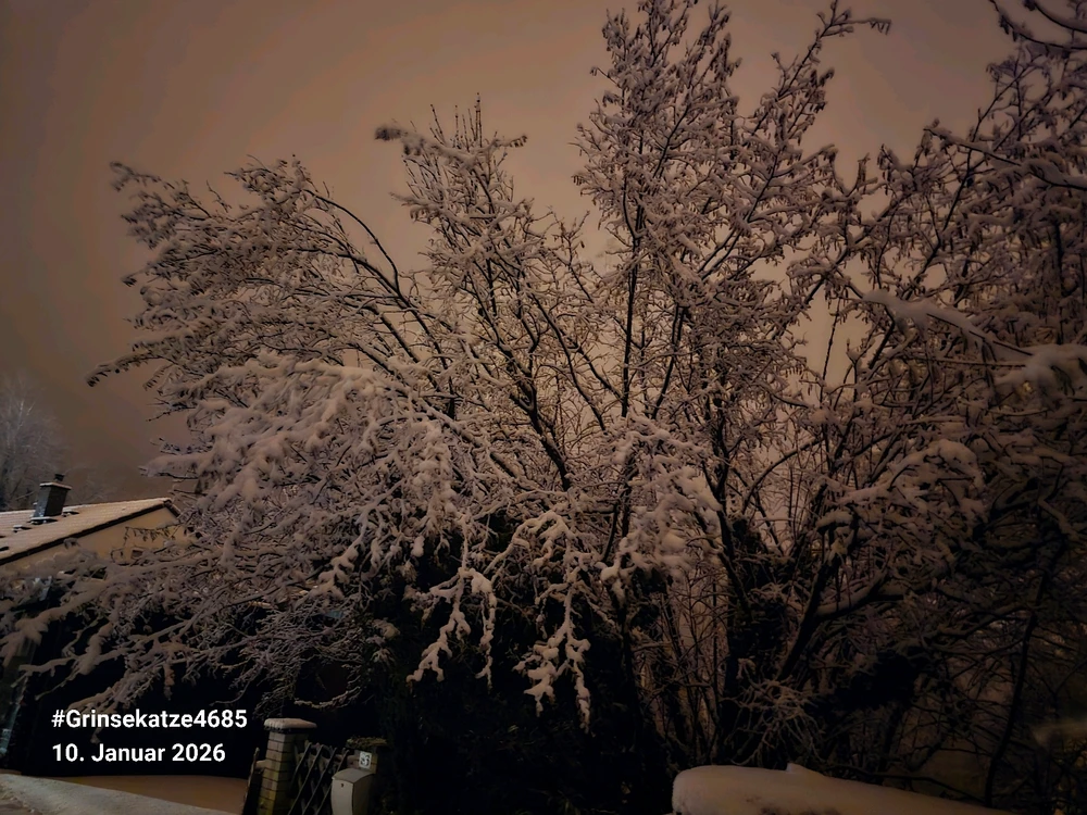 Bild hochgeladen von Claudia