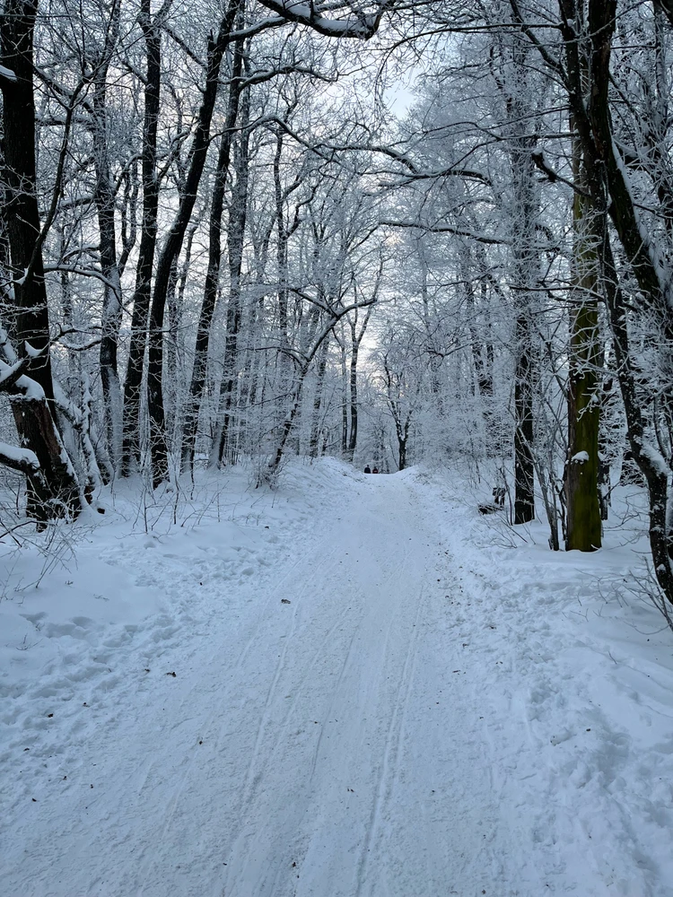 Adam által feltöltött GIF