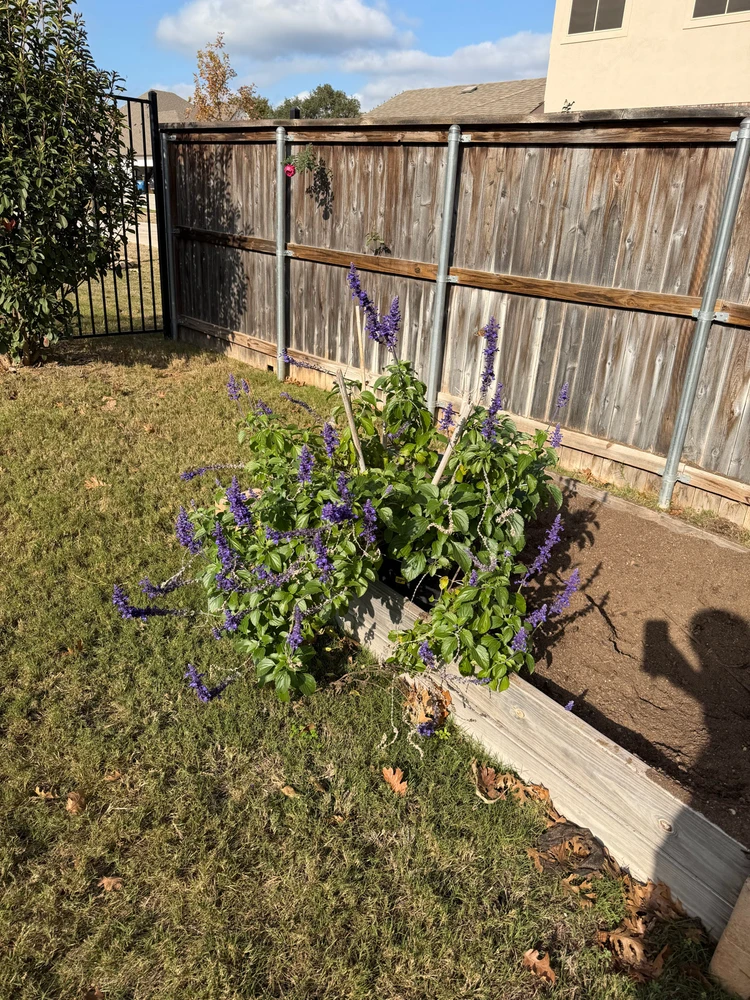 GIF uploaded by Andreas