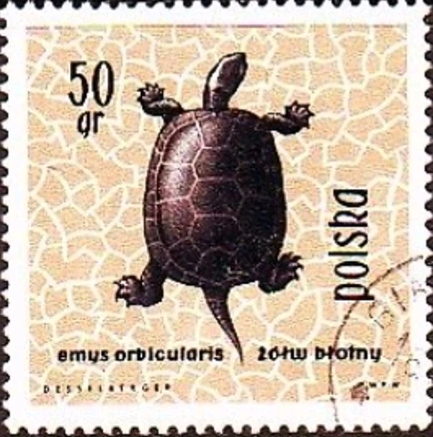 Image uploaded by Valde