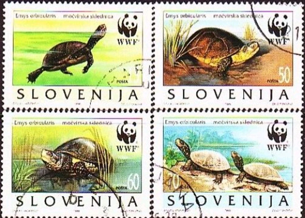 Image uploaded by Valde