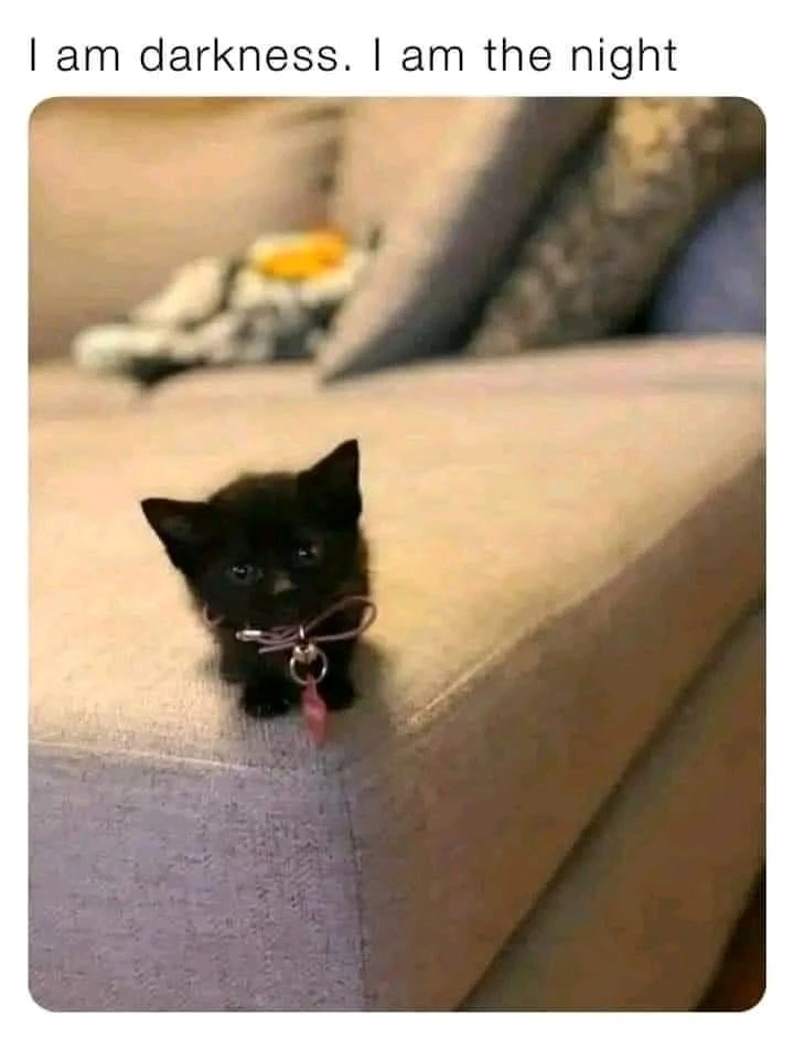 GIF uploaded by ใ๐น.::Lenรถrรฉ::.๐นใ