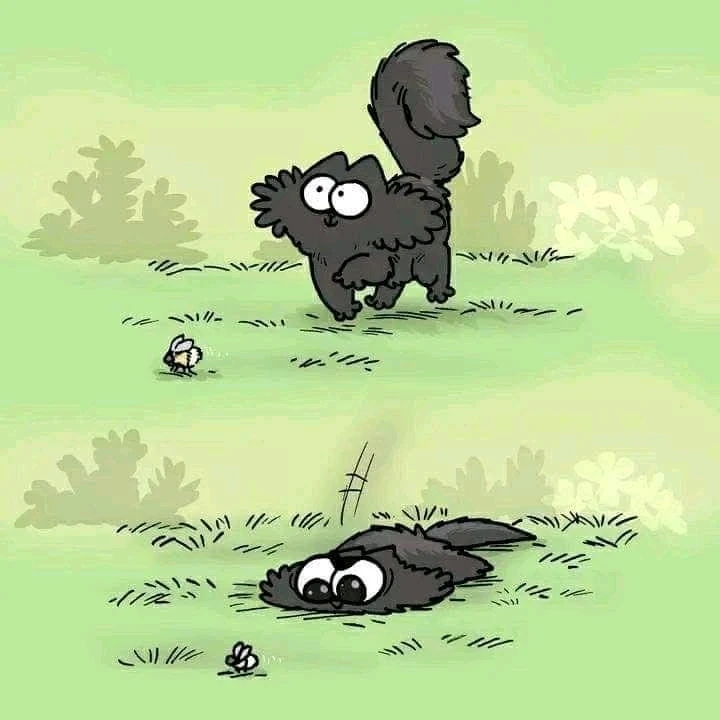 GIF ajouté par Mickaël