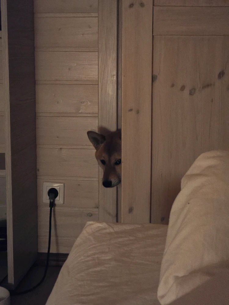 GIF uploaded by Iwo