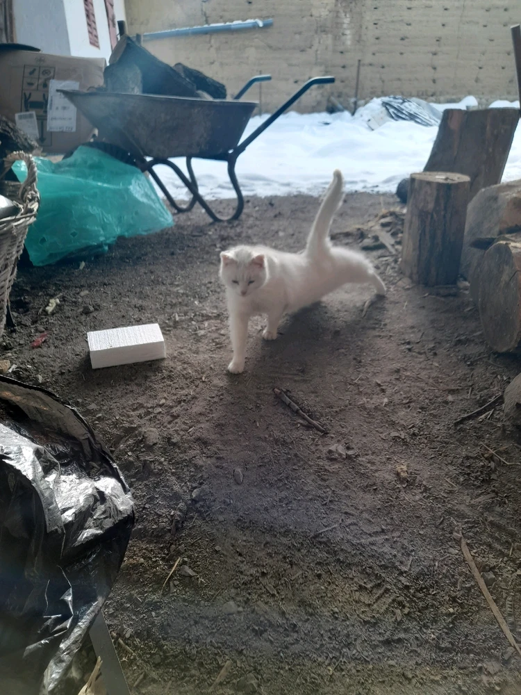 Szepi által feltöltött kép