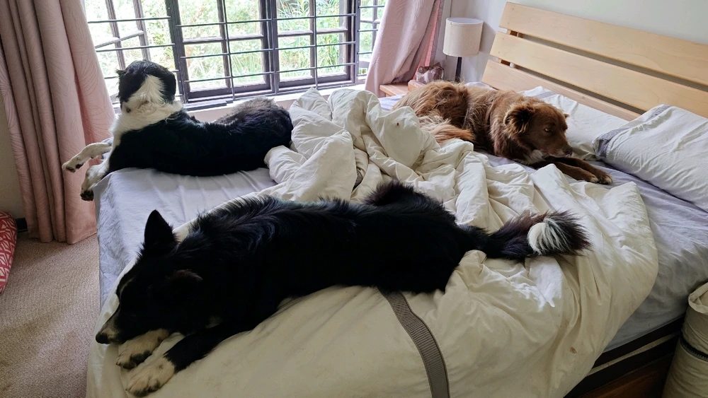 Image uploaded by CheffieGR