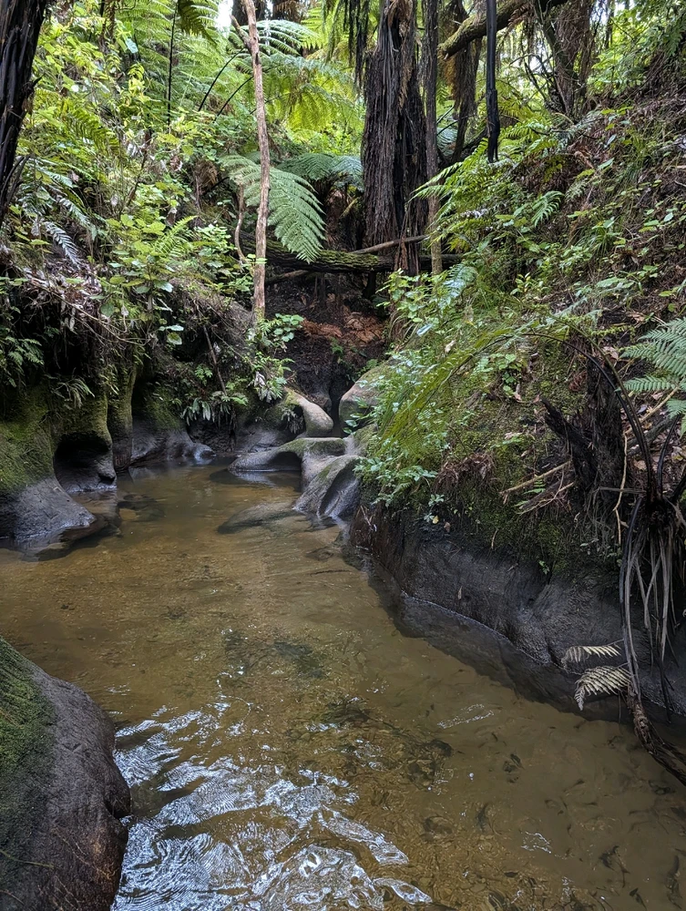 Image uploaded by Alex