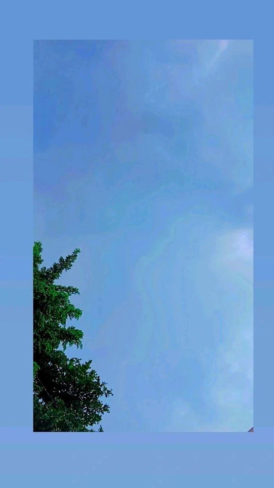 GIF enviado por Tami