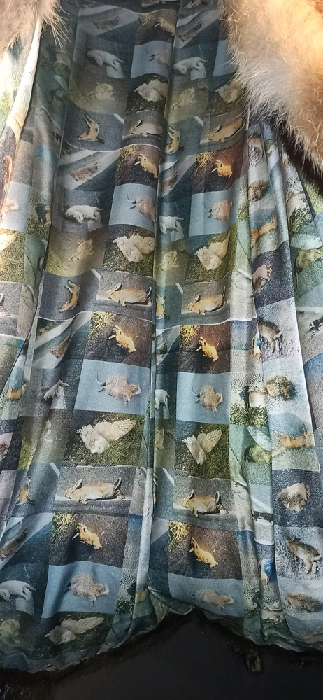 Image uploaded by Gökhan