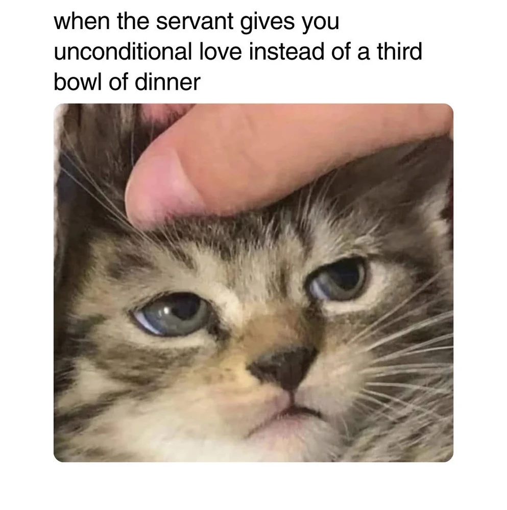 GIF uploaded by 🌙✨ℳℯ𝓁𝒶𝓃𝒾𝓆𝓊ℯ✨🌙