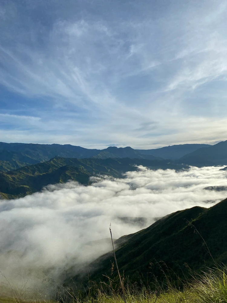 Gambar diunggah dening Alysha Jane