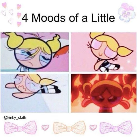 Image uploaded by Laura