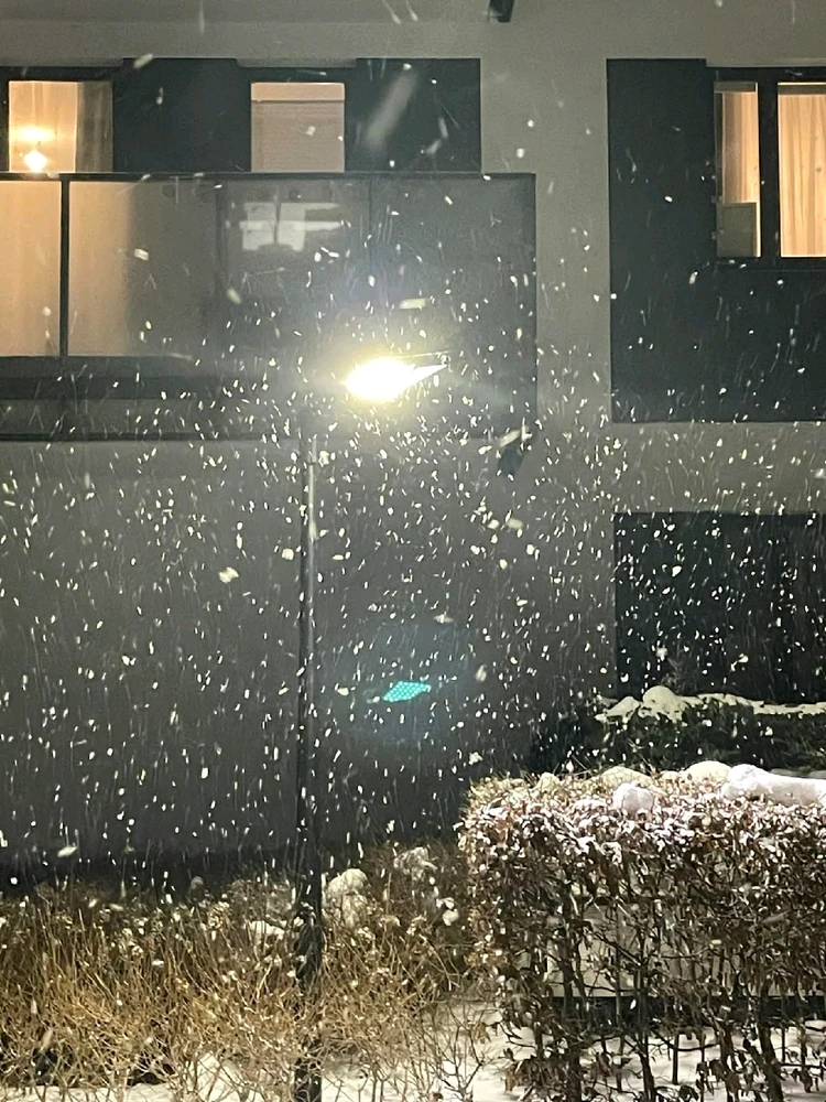 GIF dodany przez ᛏᛟᛗᚨᛊᛉ