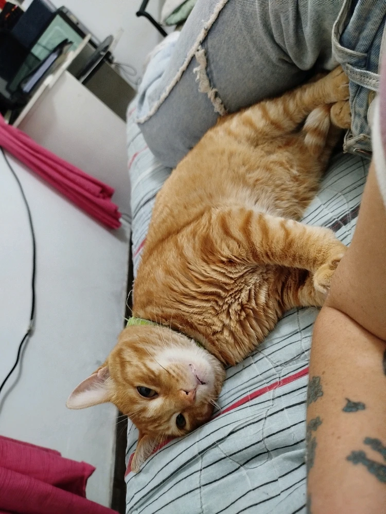 GIF uploaded by Rojo