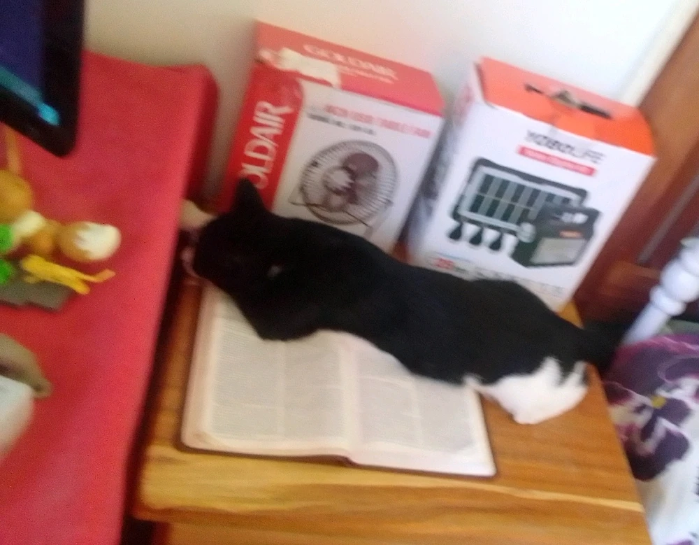 GIF uploaded by Hendrik