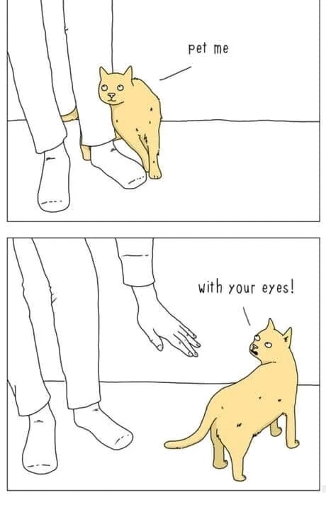 GIF uploaded by Seriam os gatos astronautas?