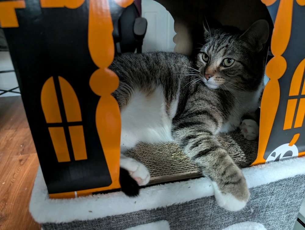 Image uploaded by Michael