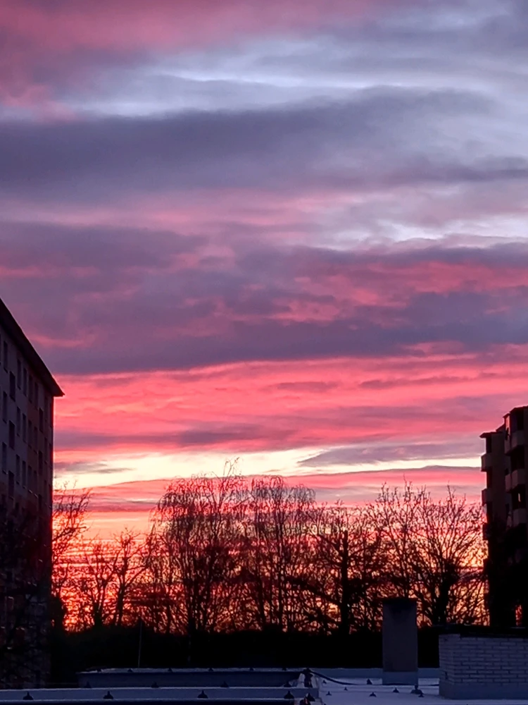 Obrázek nahrál Svatava