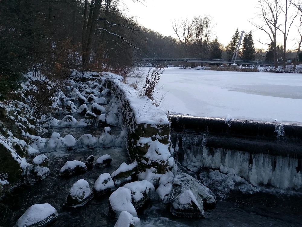 Bild hochgeladen von Falk