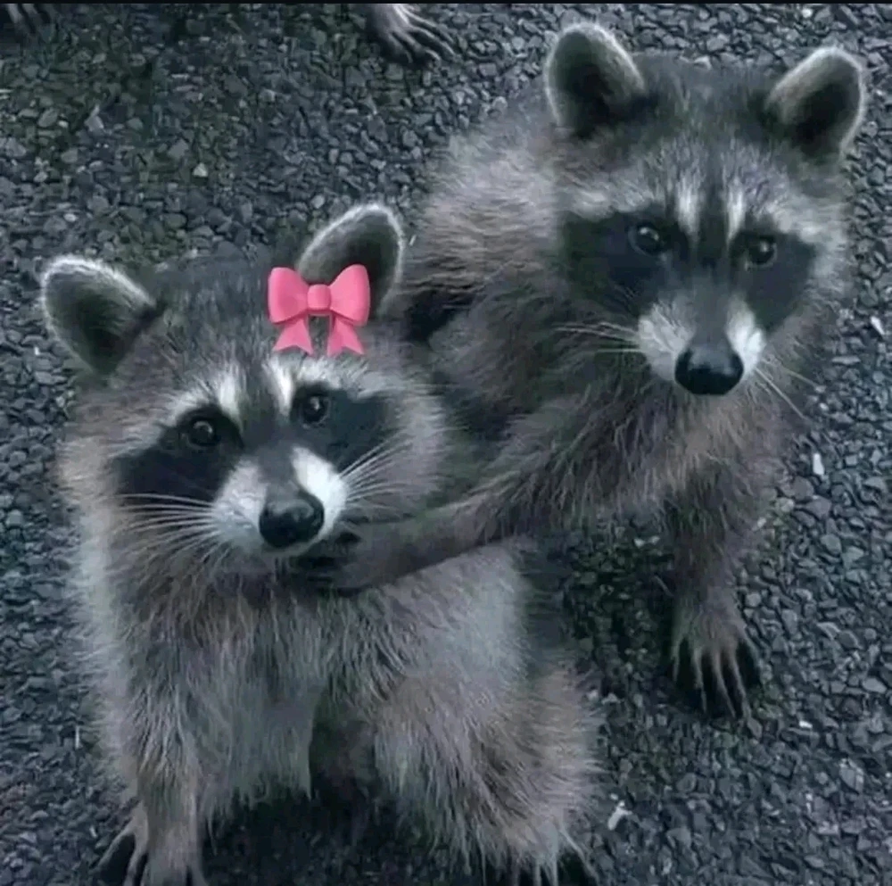 GIF uploaded by Aquarius®