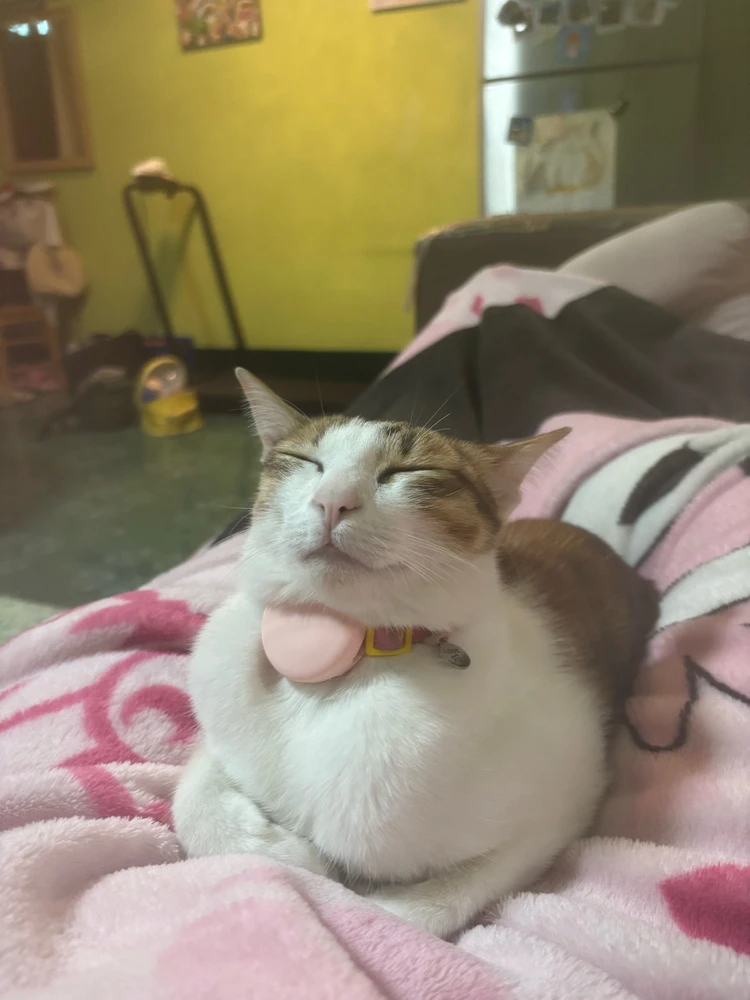 GIF uploaded by Pat♡