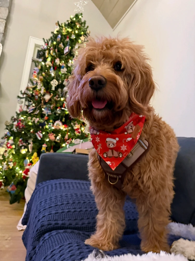 GIF uploaded by Yoel