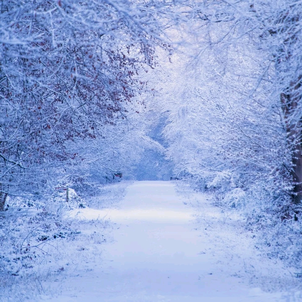 GIF ajouté par Valentin