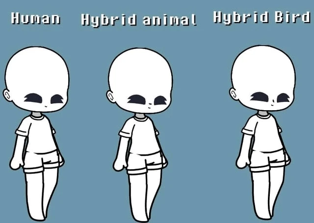 GIF uploaded by Kimi