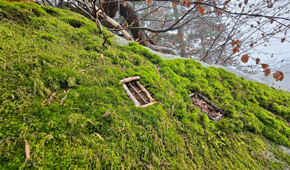 Image uploaded by Sachs