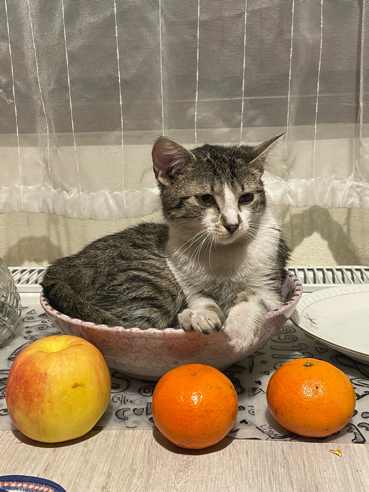 GIF dodany przez Kamil