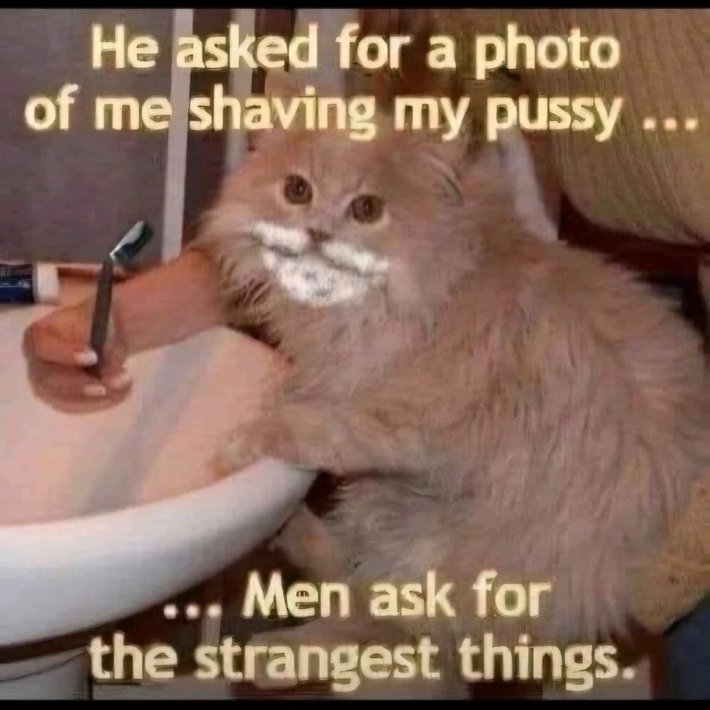 GIF uploaded by Becca