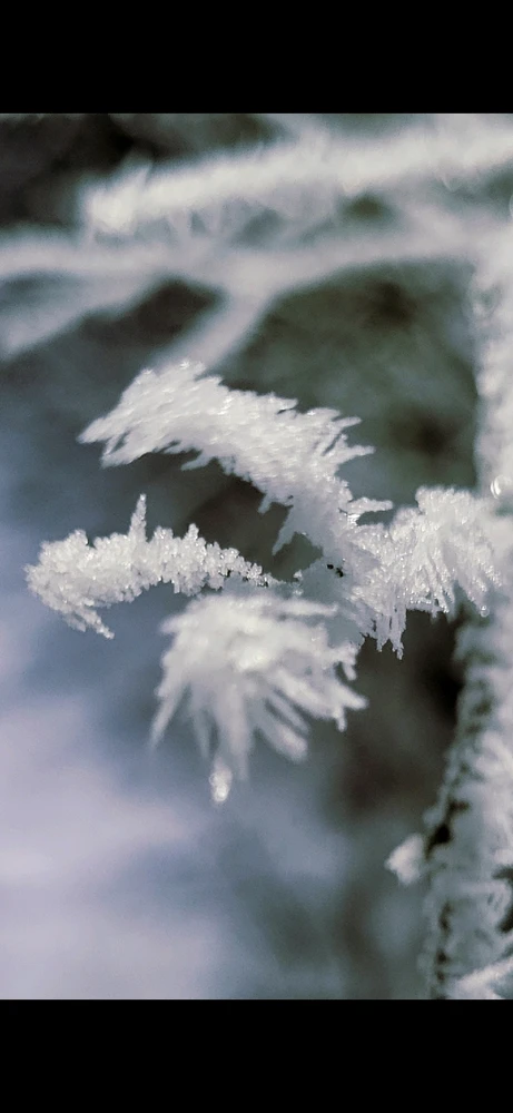 Bild hochgeladen von Chris