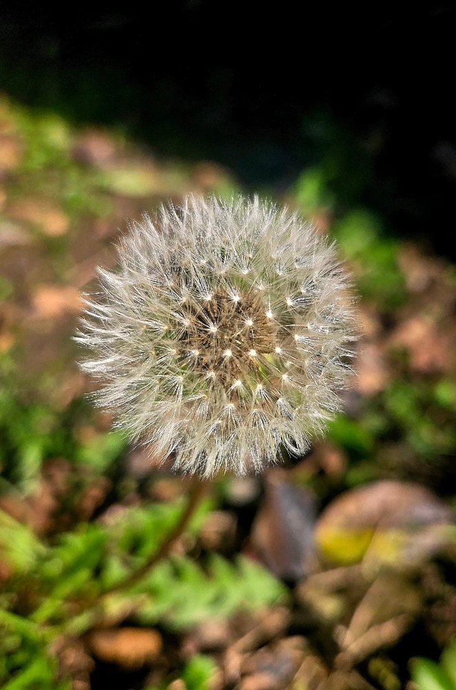 GIF diunggah dening Denis