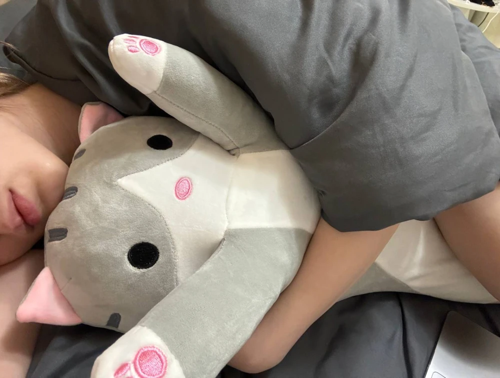 Bild hochgeladen von Ciea