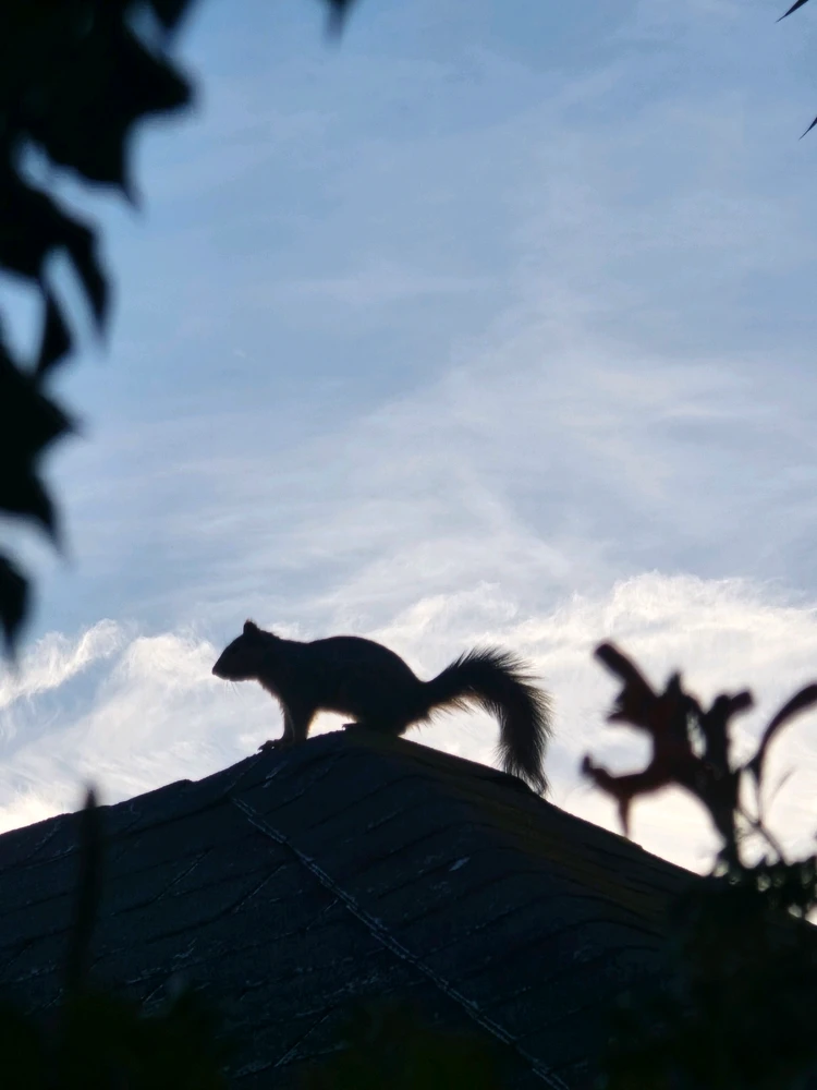 GIF uploaded by William