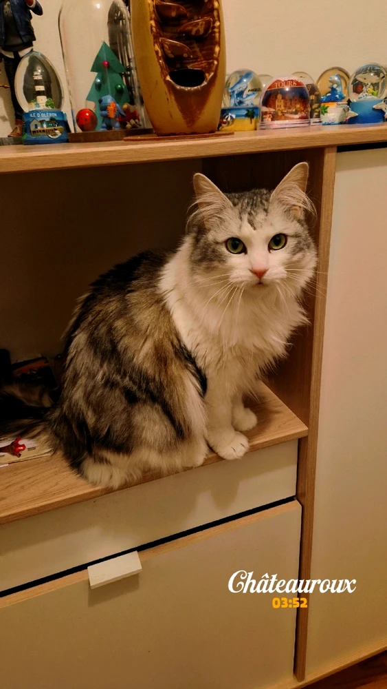 GIF ajouté par Lulu