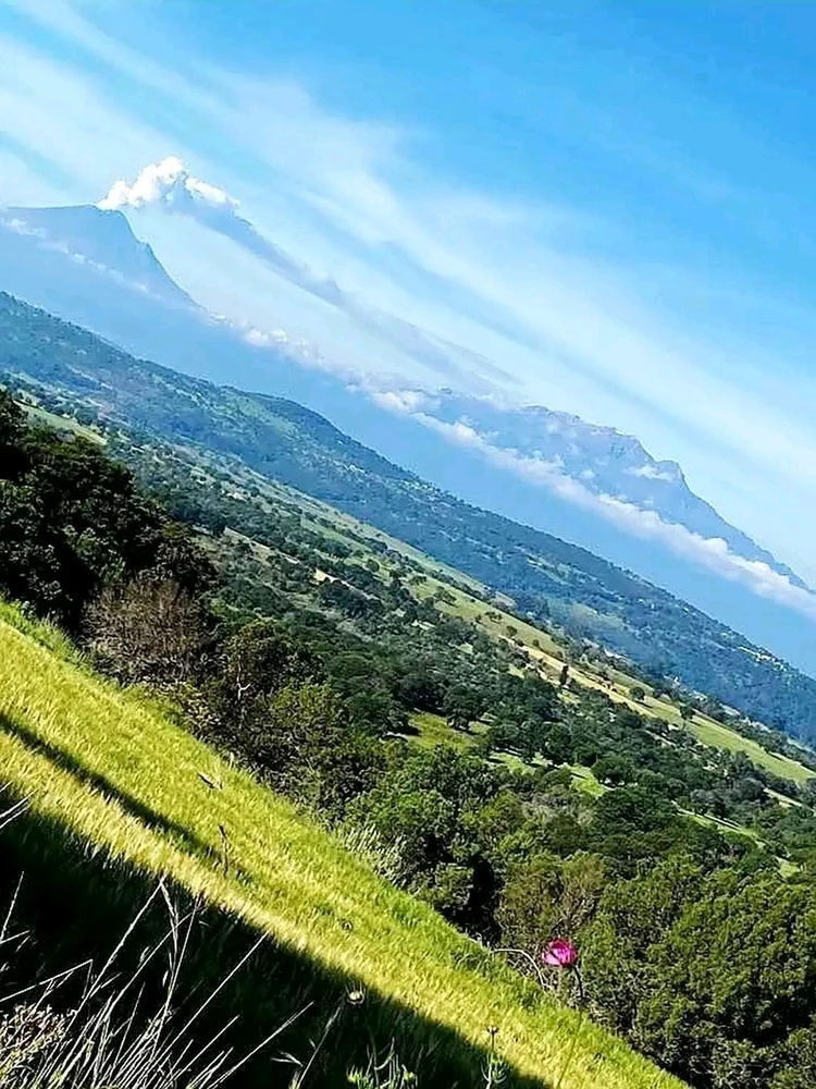 GIF diunggah dening ❤ Sophia aka Mango Mami ❤️