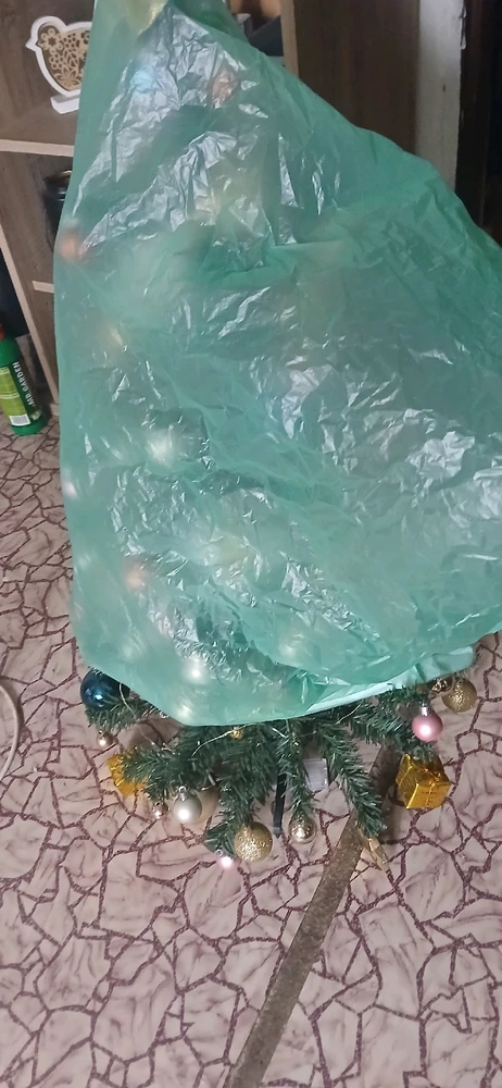 Image uploaded by Broni