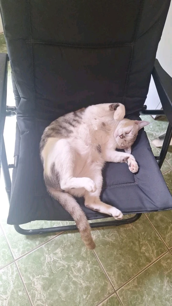 GIF enviado por Denner