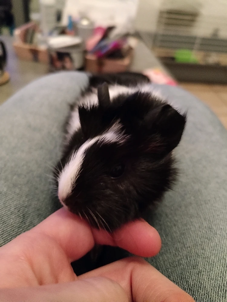 Image ajoutée par Aline