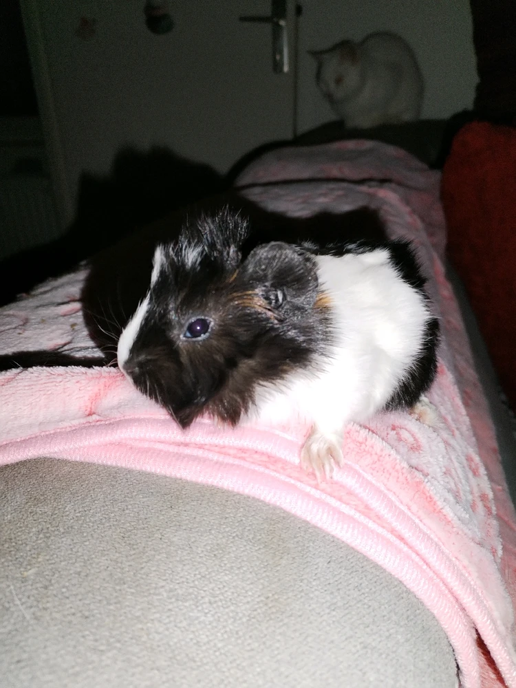 Image ajoutée par Aline