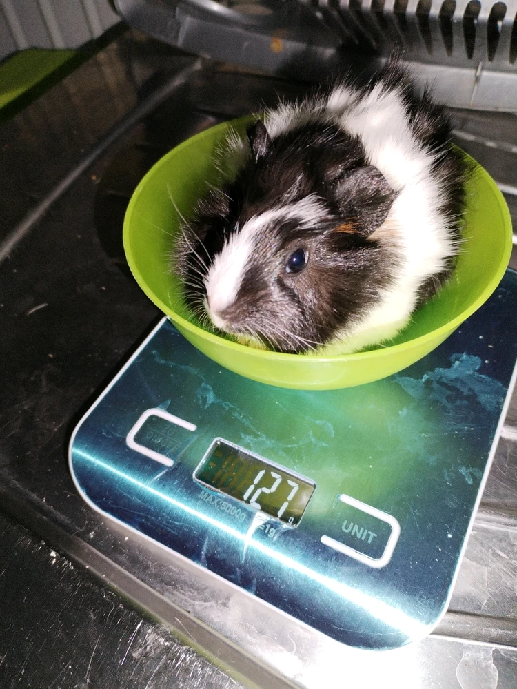 Image ajoutée par Aline