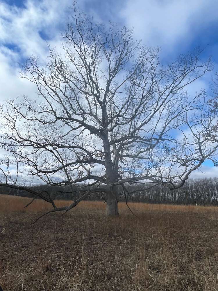 GIF diunggah dening Robbie