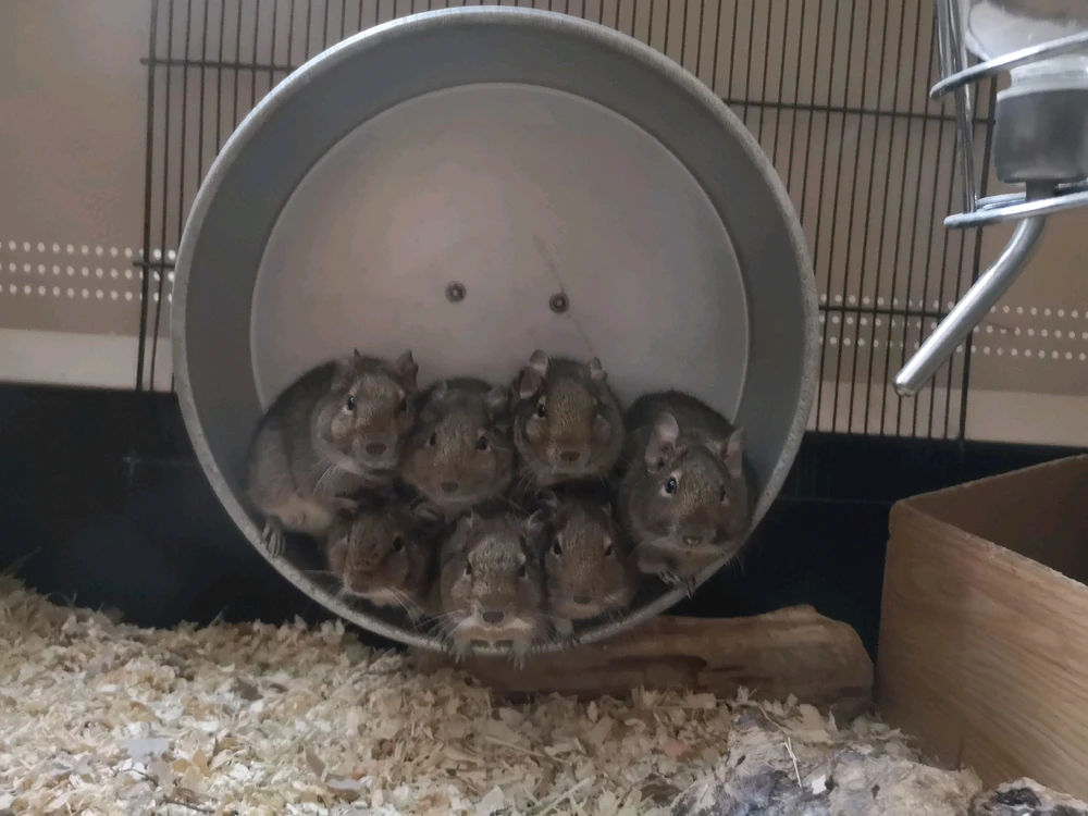 Image ajoutée par Jean-Guillaume